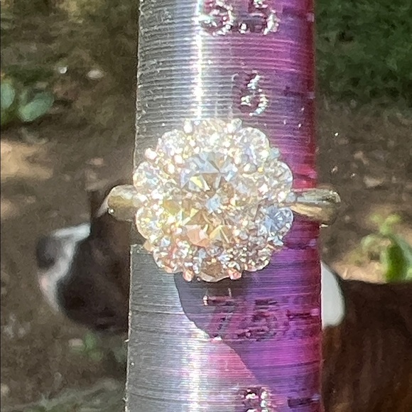 Jewelry - 18k white gold Classic Diamond Halo Ring in Gold with Clear Stones